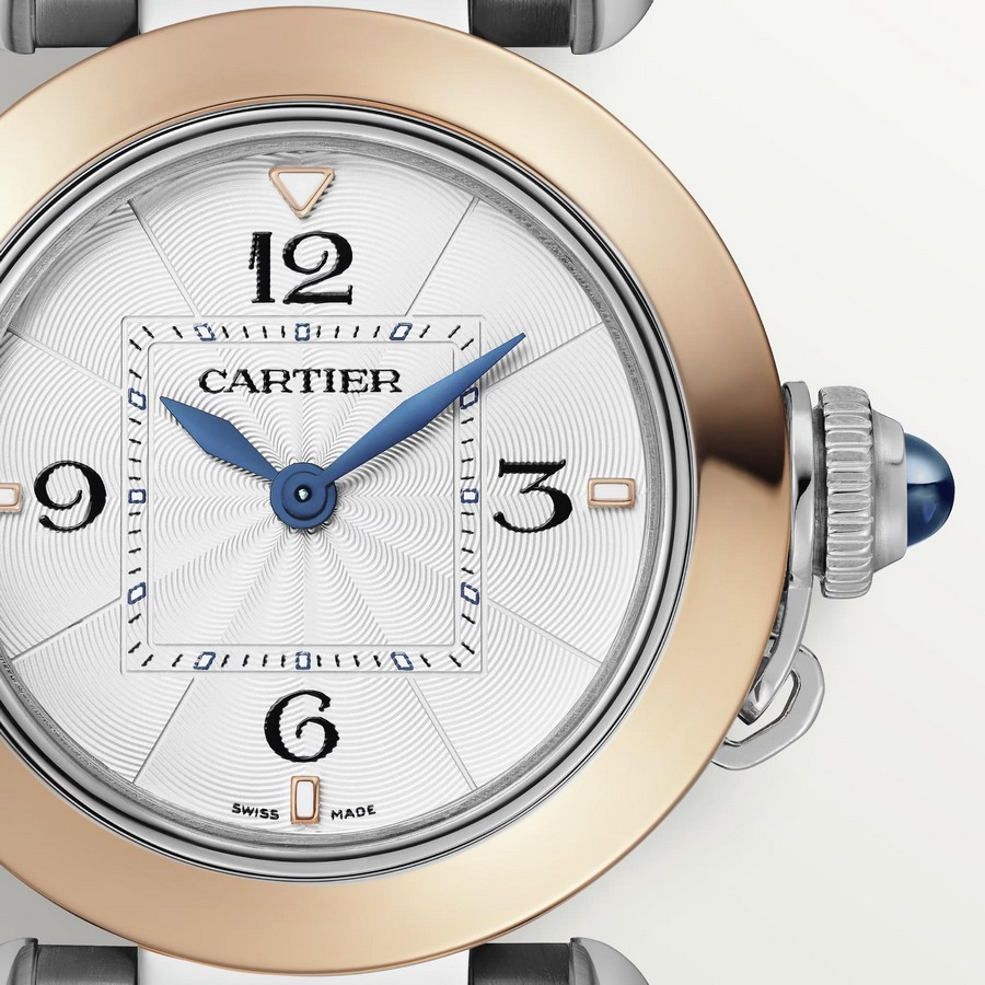 Đồng Hồ Cartier Pasha De Cartier Watch 30mm Nữ Vàng Xám